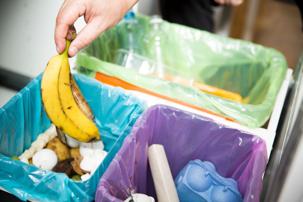 Cara Sederhana Memilah Sampah dari Rumah untuk Lingkungan yang Lebih Baik